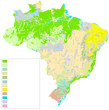 Vegetación de Brasil