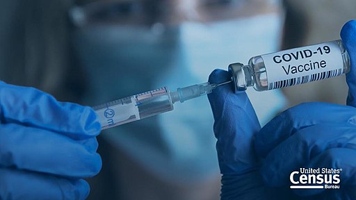 A person, wearing gloves and a surgical mask, handles a COVID-19 Vaccine vial and syringe. Photo by United States Census. Public Domain.