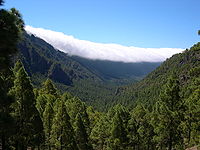 Caldera de Taburiente vista desde La Cumbrecita, uno de los puntos de acceso.