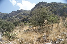 Camino del Cuatro, Sierra Zapalinamé, Saltillo, Coahuila - panoramio (36).jpg