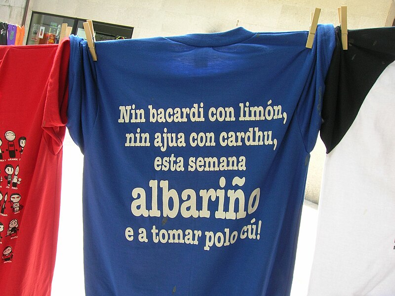 File:Camiseta (1060821243).jpg