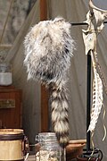 Coonskin Cap