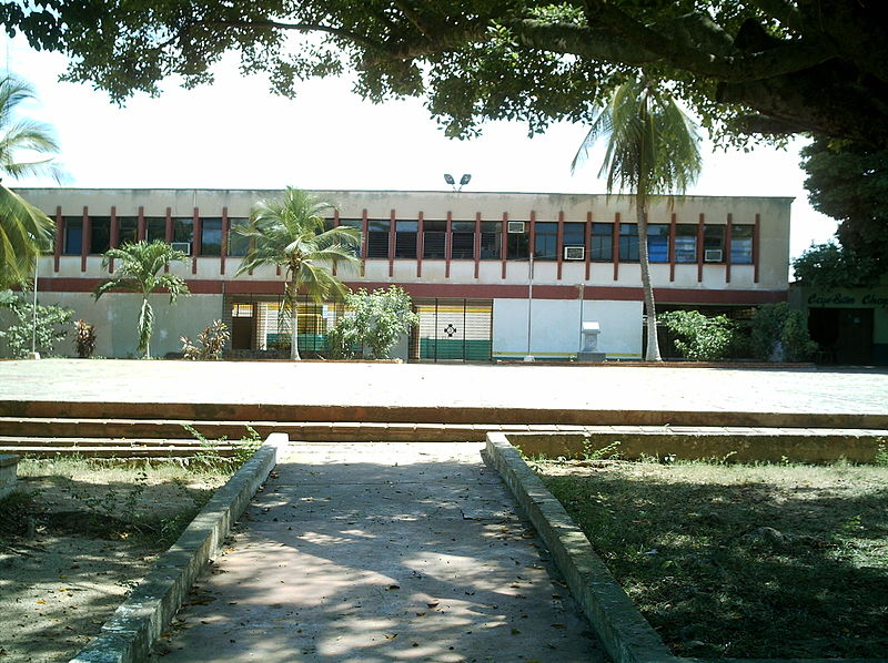 File:Casa de la cultura y biblioteca victor lara.JPG