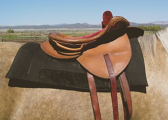 Off-side view of a two pommel sidesaddle with double rigging and an overgirth strap
