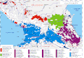 Caucasian Peoples and Languages as of 1990-2010.gif