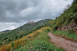 Chemin avec vue sur les châteaux de Grand-Ribeaupierre et du Girsberg.