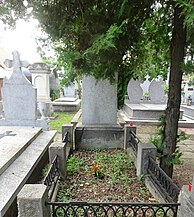 Mormântul lui Timotei Cipariu din cimitirul bisericii Sfinții Arhangheli din Blaj