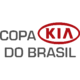 Copa do Brasil de Futebol de 2012