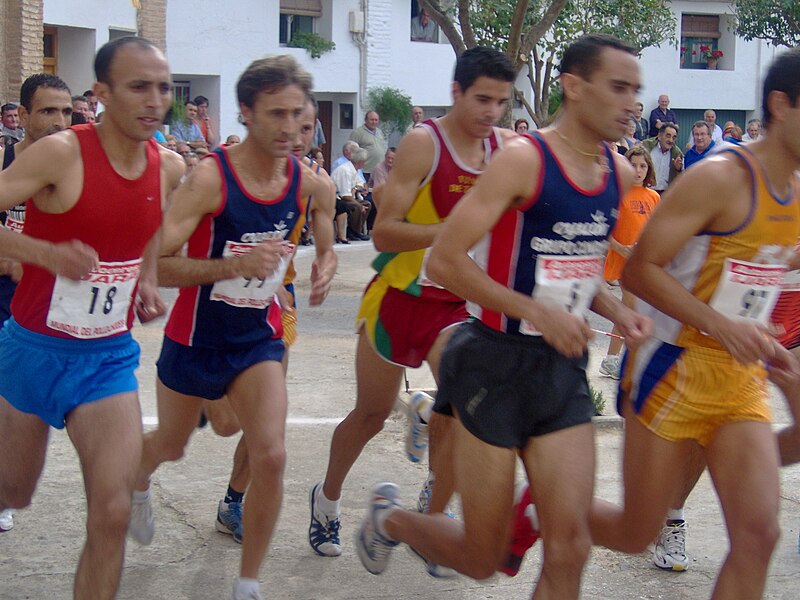 Arriba 59+ imagen carrera en español