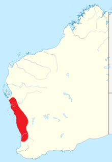 Ctenophorus adelaidensis distribution.png