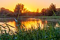 * Nomination Sunset at Oedler pond near Hausdülmen, Dülmen, North Rhine-Westphalia, Germany --XRay 13:08, 19 August 2016 (UTC) * Promotion Good quality. --Ermell 13:36, 19 August 2016 (UTC)