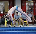 DHM diving 3m male B-youth (Martin Rulsch) 1451.jpg