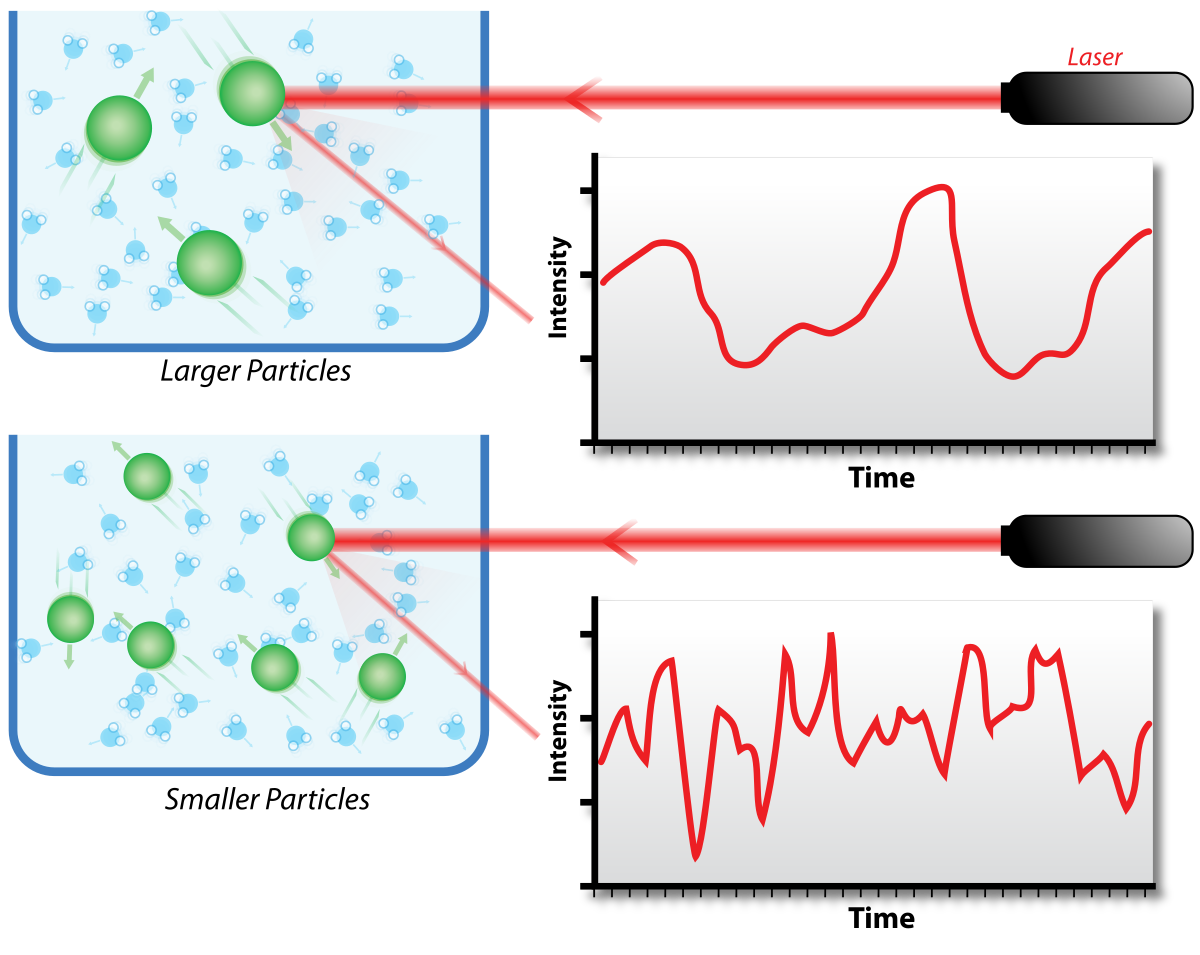 dynamic light scattering 