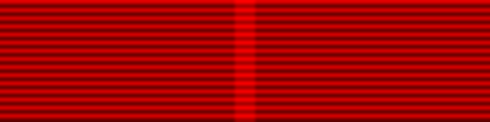 ไฟล์:Defence_and_Security_Long_Service_Medal_40_years_RIB.png