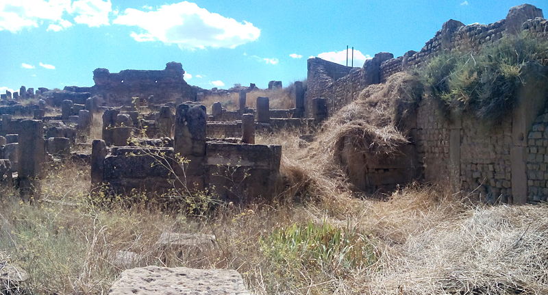 File:Derrière le marché de l'Est (Timgad).JPG