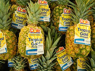 Dole Food Company: Empresa multinacional de fruta estadounidense