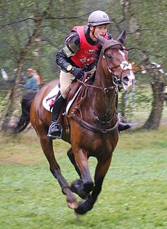 Donatien Schauly с Ocarina du Chanois - Gelände - EM Vielseitigkeit 2011.JPG