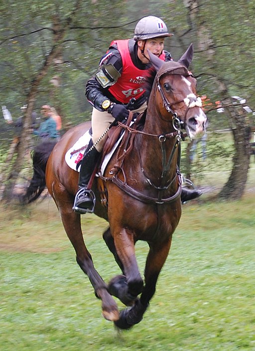 Donatien Schauly mit Ocarina du Chanois - Gelände - EM Vielseitigkeit 2011