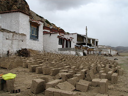 Dorje Ling Nunnery in Damxung County, with adobe blocks curing in the foreground