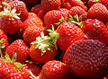 Erdbeeren in Sammelgefäß