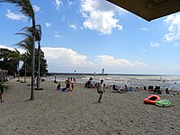 Minimume dum la varmaj monatoj, palmarboj prosperas kun Erie Beach, Haveno-Dovero