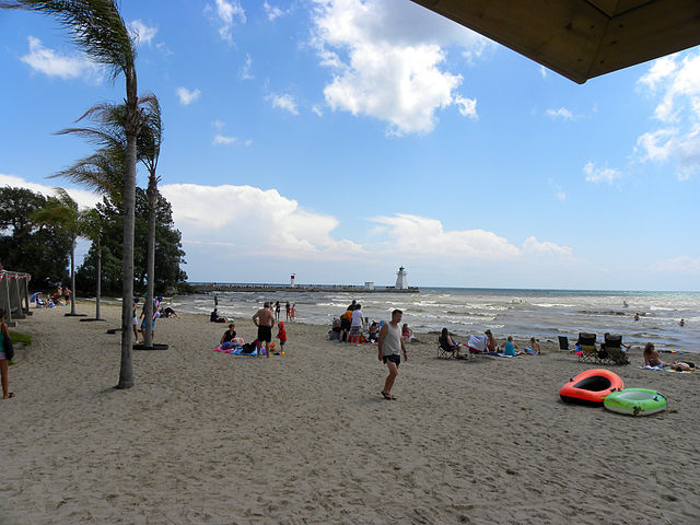 At least during the warm months, palm trees thrive on Erie Beach, Port Dover