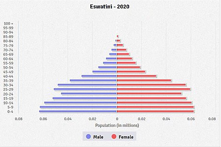 Eswatini Population Pyramid 2020