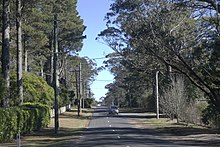 Evans Lookout Road, Blackheath, Australia 01.jpg