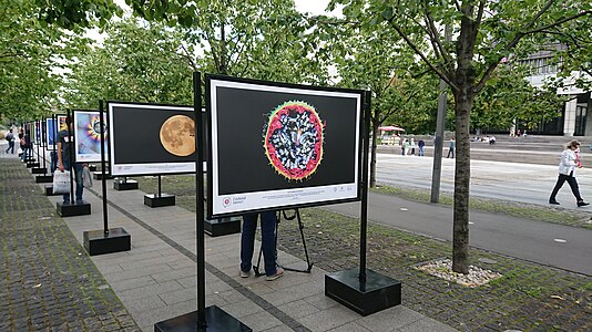 Exhibition of the Wiki Science Competition 2019 08.jpg