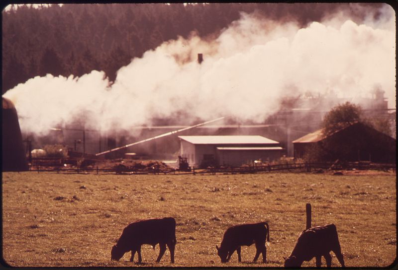 File:FARM WITH WOOD CHIP BURNER - NARA - 543010.jpg