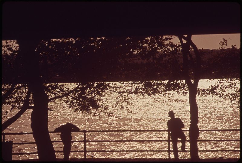 File:FISHING THE POTOMAC FOR CATFISH - NARA - 547217.jpg