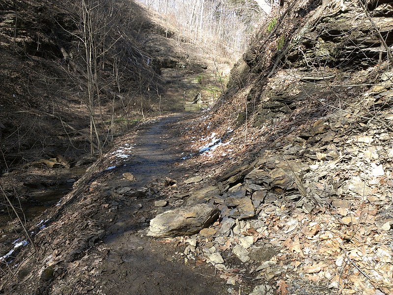 File:Fall Run Park in Shaler Township, late winter - 30.jpeg