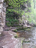 Wutachschlucht (FFH-Gebiet)