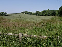 Field next to Leburnick Cross - geograph.org.uk - 459152.jpg