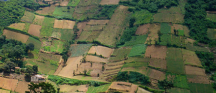 Fields in Quetzaltenango.