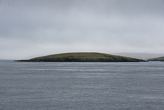 Fish Holm island in United Kingdom