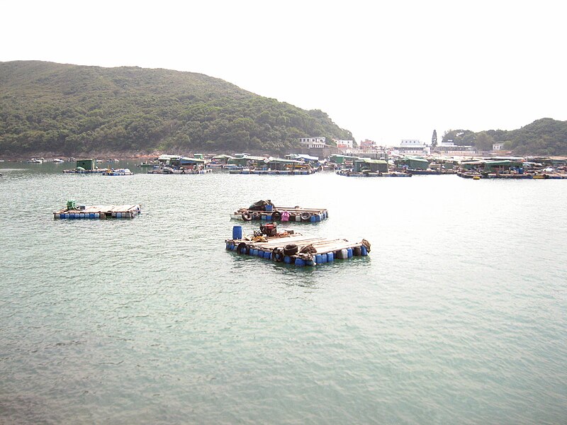 File:Fish farming in High Island, Hong Kong.jpg