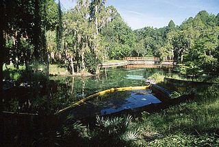 Crystal Springs, Florida CDP in Florida, United States