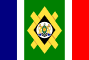 Bandera de Johannesburgo