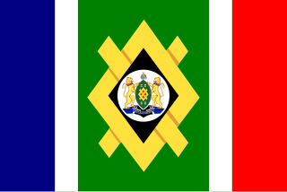 <span class="mw-page-title-main">Flag of Johannesburg</span>