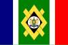 Johannesburg Şehri Bayrağı