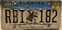 Thumbnail for File:FloridaHelpingSeaTurtles.jpg