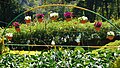 Flower garden Munnar