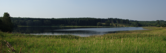 Panoramabild des Reichloser Teichs