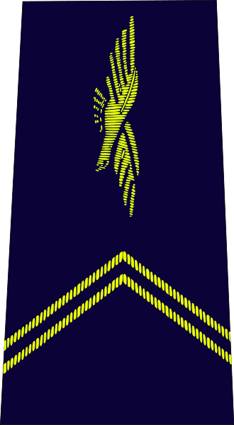 File:French Air Force-élève officier.svg