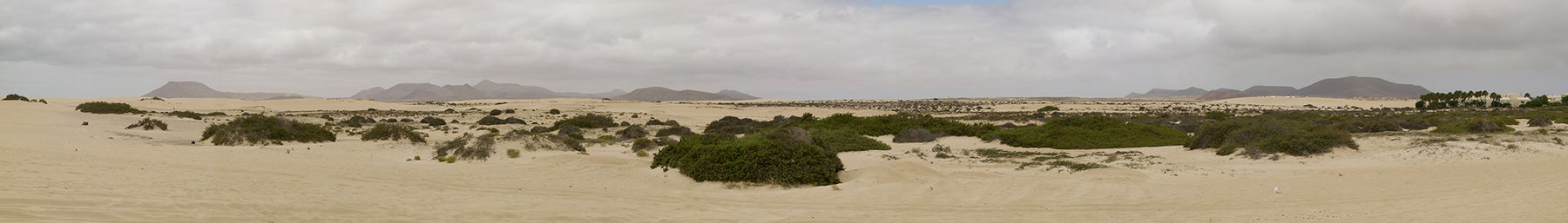 Bannière Fuerteventura.jpg