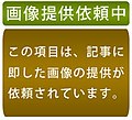 黄色地上式消火栓（北海道）