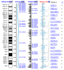 A partially sequenced genome Genome viewer screenshot small.png