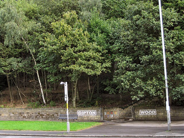 Gipton Wood from Roundhay Road