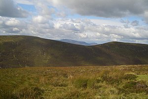 Foel Goch